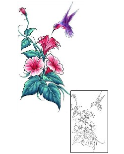 Hummingbird Tattoo Animal tattoo | CCF-00676