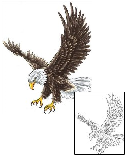 Eagle Tattoo Animal tattoo | CCF-00291