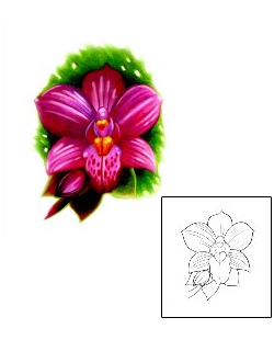 Orchid Tattoo Plant Life tattoo | TGF-00028